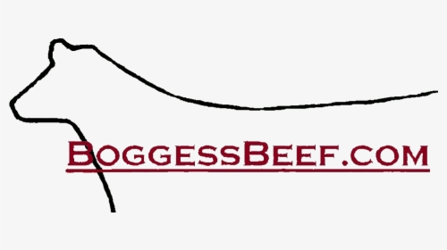 Boggessbeef - Darkness, HD Png Download, Free Download