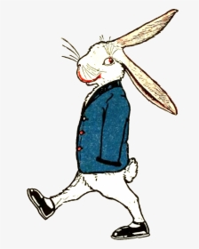 Peter Rabbit Albert 31 - Illustration, HD Png Download, Free Download