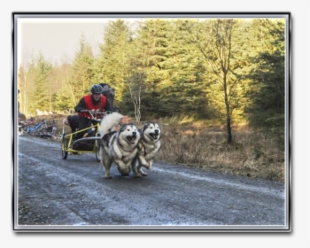 Working Animal, HD Png Download, Free Download