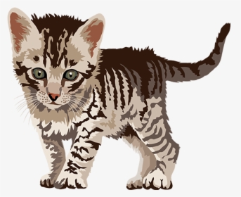 Cat Art, Stickers Messages Sticker-5 - Kitten, HD Png Download, Free Download