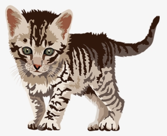 Cute Kitten Png Images Free Transparent Cute Kitten Download Kindpng