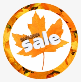 Autumn Sale Now, HD Png Download, Free Download