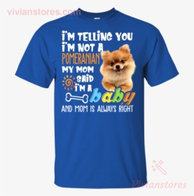 Pomeranian Png, Transparent Png, Free Download