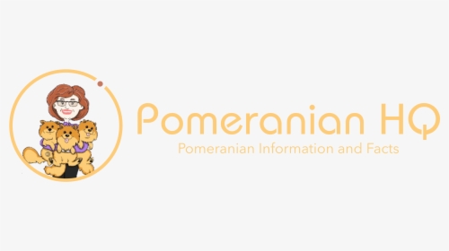 Pomeranian Headquarters - Amber, HD Png Download, Free Download