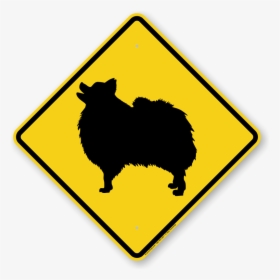 Beware Of Dog Pomeranian, HD Png Download, Free Download