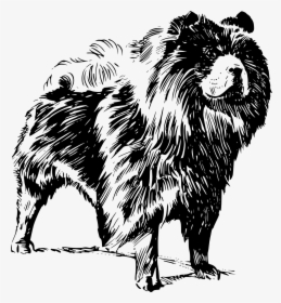 Chow Chow Dog Names Female, HD Png Download, Free Download