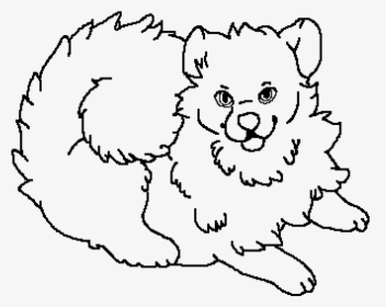 Pomeranian Png, Transparent Png, Free Download