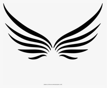 Wings Coloring Page - Illustration, HD Png Download, Free Download