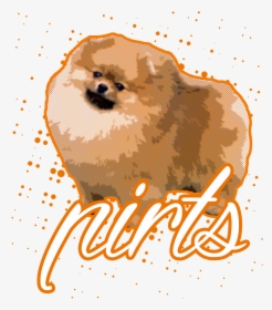 Pirtslogo Square - Pomeranian, HD Png Download, Free Download