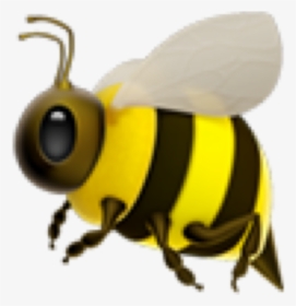 #yellow #bee #emoji 🐝 #freetoedit - Honey Bee Emoji Png, Transparent Png, Free Download