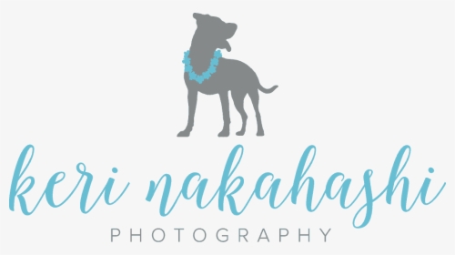 Keri Nakahashi Photography - Guard Dog, HD Png Download, Free Download
