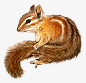 #ftestickers #chipmunk #cute - Transparent Background Chipmunk Clipart, HD Png Download, Free Download