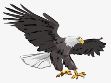 Transparent Eagles Clipart Png - Clipart Transparent Background Flying Eagle, Png Download, Free Download