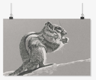 Sketch, HD Png Download, Free Download