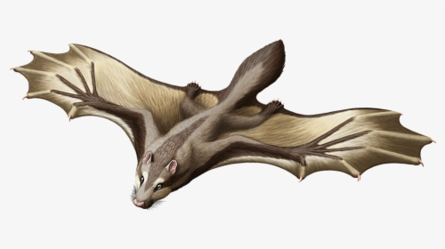 Argentoconodon Fariasorum-color - Argentoconodon, HD Png Download, Free Download