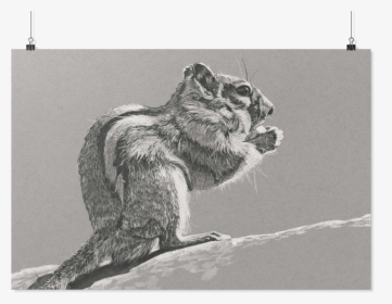 Grizzly Bear, HD Png Download, Free Download