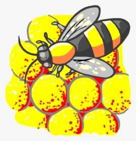 Serbuk Sari Lebah - Animasi Lebah Dan Sarang Png, Transparent Png, Free Download