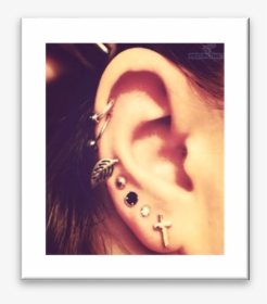 Helix And Lobe Piercing, HD Png Download, Free Download
