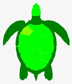 Green Sea Turtle Reptile Clip Art - Sea Turtle Silhouette Png, Transparent Png, Free Download