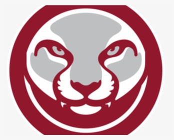 Hiro-ism Of The Day - Washington State Cougars Football, HD Png Download, Free Download