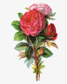 Flores Png Pack, Transparent Png, Free Download