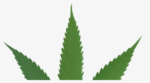 Cannabis Leaf , Png Download - Marijuana Outline, Transparent Png, Free Download