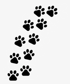 Patinhas De Cachorro Png - Cat Paw Prints Clipart, Transparent Png, Free Download
