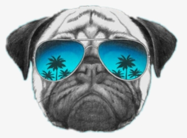 Pug Dog Wallpaper Iphone, HD Png Download, Free Download