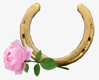 Horse Shoe, Pink Rose, Lucky, Good Wishes - Horse Shoe Flowers Png, Transparent Png, Free Download