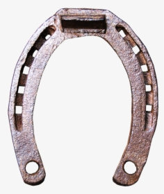 Particular Shoe, Causing Them To Stop One Minute And - Horseshoes Png, Transparent Png, Free Download