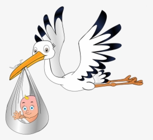Stork, Baby, Birth, Young, Pregnant, Sky, Rattle Stork - חסידה תינוק, HD Png Download, Free Download