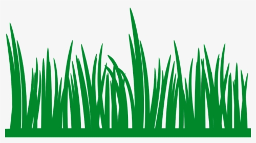 Grass Clipart, HD Png Download, Free Download