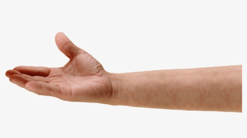 Hand Png Image - Hand Png, Transparent Png, Free Download