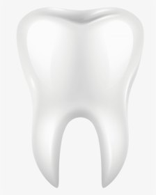 Free Png White Tooth Png Images Transparent - Png Tooth, Png Download, Free Download