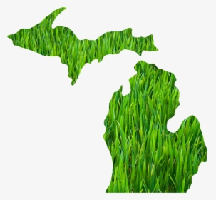 Michigan Outline Grass - Michigan Vector, HD Png Download, Free Download