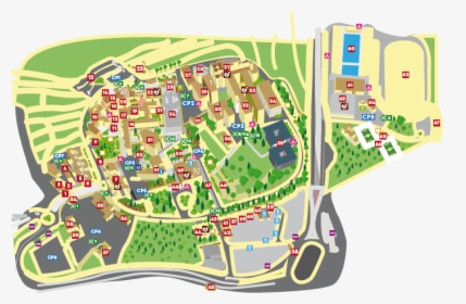 University Of North Florida Campus Map - Uom Map, HD Png Download, Free Download