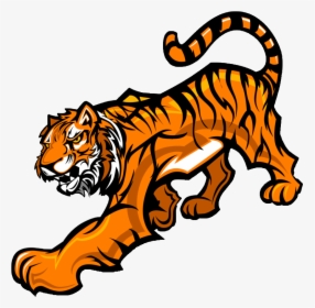 Williston Tiger Clipart Tiger Williston Middle School - High School Mascots Tigers, HD Png Download, Free Download