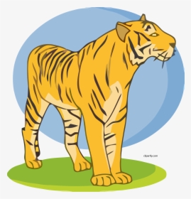 Transparent Tiger Clipart Png - Tiger, Png Download, Free Download