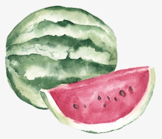 Fruit Auglis Clip Art - Watermelon Clipart Watercolor, HD Png Download, Free Download