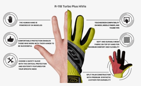 Diy Gloves - Glove Features, HD Png Download, Free Download