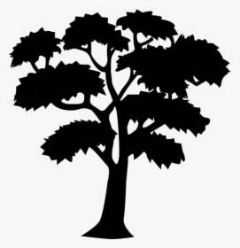 Big Tree Png Clipart Download - Draw A Mahogany Tree, Transparent Png, Free Download