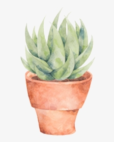 This Graphics Is A Plate Of Aloe Png Transparent About - Flowerpot, Png Download, Free Download