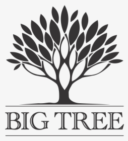Transparent Big Tree Png - Topline Technologies, Png Download, Free Download