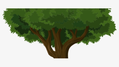 Trees And Packaging - Big Tree, HD Png Download, Free Download