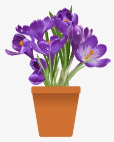 Flower Pot Images Cliparts, HD Png Download, Free Download