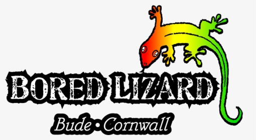 Bored Lizard Surf Shop, Bude, Cornwall, HD Png Download, Free Download