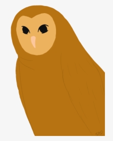 Ovo Owl Png - Barn Owl, Transparent Png, Free Download