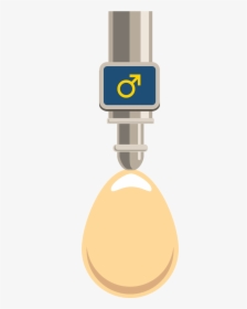 Automated Egg Sexing - Egg Sexing, HD Png Download, Free Download