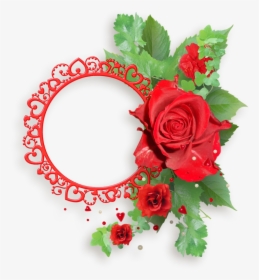 Red Roses Frames - Red Flowers Frames Png, Transparent Png, Free Download