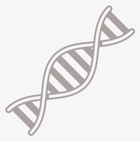 White Life Science Icon, HD Png Download, Free Download